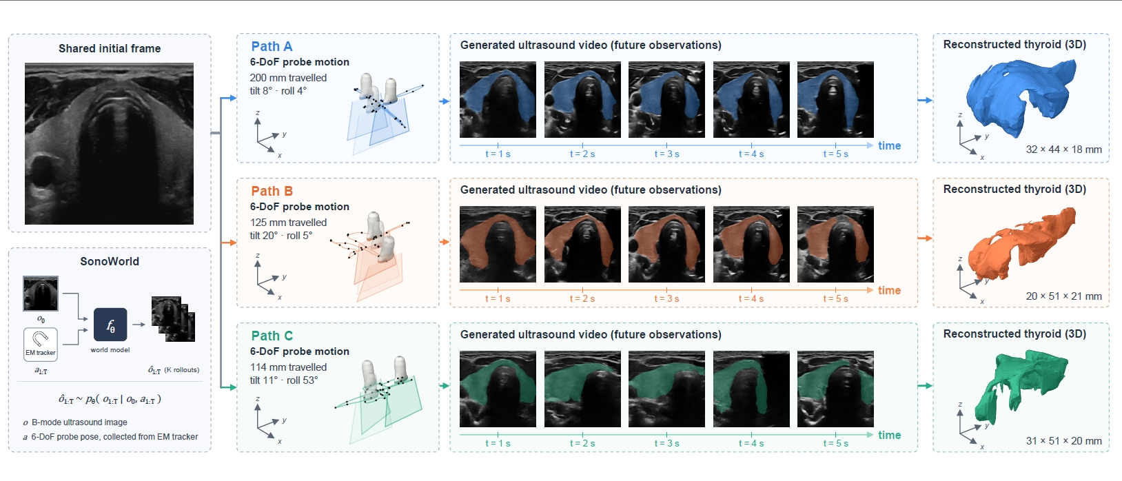 SonoWorld rollouts: three 6-DoF probe paths from a shared initial frame, generated ultrasound videos, and reconstructed 3D thyroids